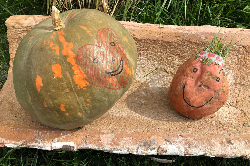En este momento estás viendo Alimentos dulces que cambiarán tu vida: la calabaza y el boniato. Fantásticos para el control de peso y calmar la ansiedad por los dulces.