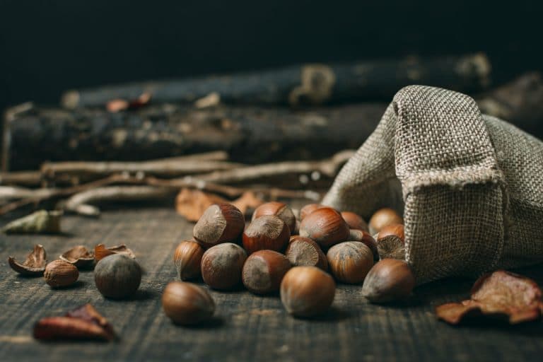 Lee más sobre el artículo La castañada, Halloween y el día que olvidamos nuestras tradiciones